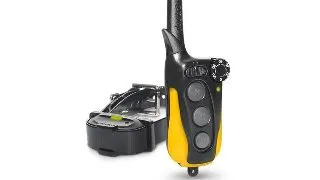Zgarda electronica pentru dresaj Dogtra iQ Mini - 1 caine