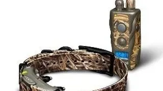 Zgarda electronica Dogtra ARC 800 Camo