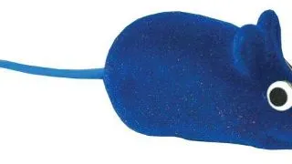 Jucarie Soricel Color