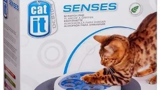 Catit Jucarie Scratch Pad 50725