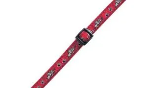 Ferplast Zgarda Gat C 1.0 X 32 cm 5626