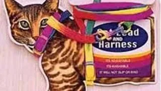 Pet Expert Ham+Lesa Pisici BR91 Card