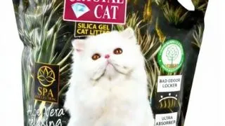 Crystal Cat Nisip Silicatic Aloe Vera - crystal-cat,3-8-l