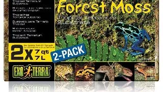 Exo Terra Asternut Forest Moss 500 GR