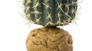 Exo Terra Plante Barrel Cactus M PT2985