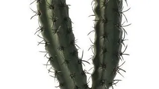 Exo Terra Plante Finger Cactus PT2983