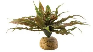 Exo Terra Plante Star Cactus PT2982