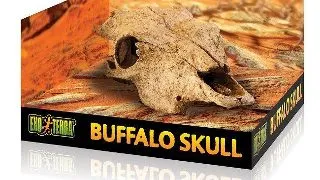 Exo Terra Decor Buffalo Skull PT2857