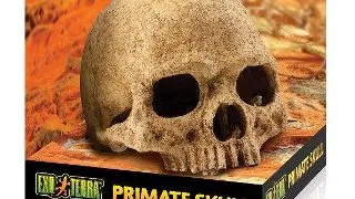 Exo Terra Decor Primate Skull PT2855