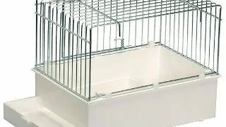 2 GR Colivie 55