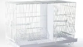 Colivie Nr.503