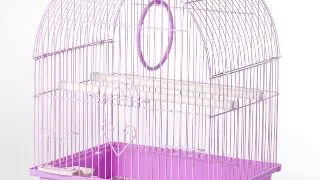 Colivie Nr.100