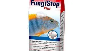 Tetra Fungi Stop Plus 20ml