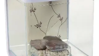 Marina Betta Kit Contemporary13402