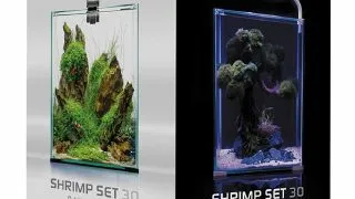 Aquael Acvariu Shrimp Smart Day &amp; Night 20 L Alb