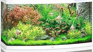 Juwel Acvariu Led Vision 260 Alb