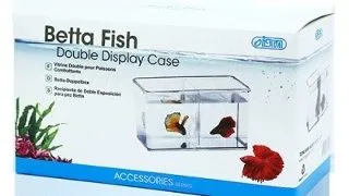 Betta Fish Double Display Case