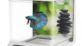 Hailea Acvariu Betta 1.8 L Negru