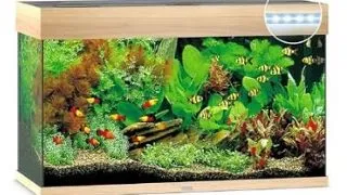 Juwel Acvariu Led Rio 125 Natur