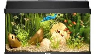 Juwel Acvariu Led Primo 110 Negru 2.0