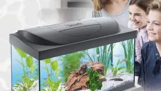 Tetra Acvariu Starter Line Led Day&amp;Night 54 L Negru