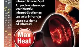 Bec Exo Terra Infrared 50 W PT2141