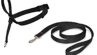 Zgarda tip capastru PetSafe Easy Walk, negru - M