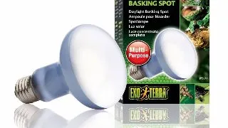 Exo Terra Bec Daylight 100 W PT 2133