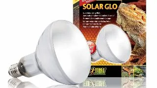 Exo Terra Bec Solar GLO 160 W PT2193