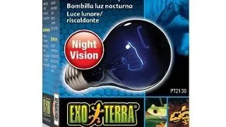 Bec Exo Terra Night Heat 75 W PT2130