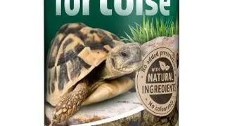 Tetrafauna Tortoise 1 l