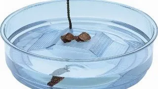 Ferplast Bol Testoase Oasi