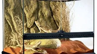 Exo Terra Terariu Sticla 60X45X45 cm PT2610