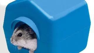 Ferplast Casuta Hamster ISBA 4638