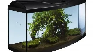 Acvariu Diversa 80 112l Curbat