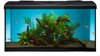 Acvariu Diversa 80 112l