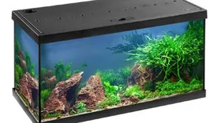 Acvariu Eheim Aquastar 54 LED Negru
