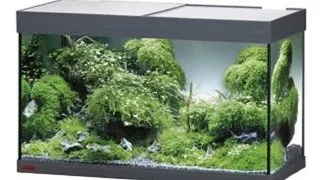 Acvariu Eheim vivaline LED 126 antracit