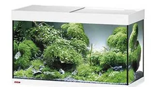 Acvariu Eheim vivaline LED 126 alb