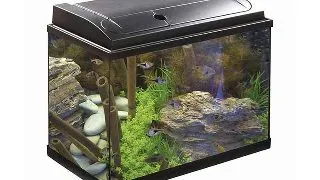Acvariu Eheim Aquapro 84l LED negru