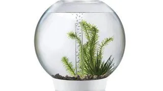 Acvariu Oase biOrb CLASSIC 30 LED alb