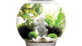 Acvariu Oase biOrb CLASSIC 30 LED Thermo argintiu