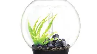 Acvariu Oase biOrb CLASSIC 60 LED negru