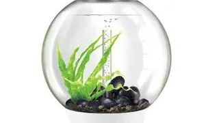 Acvariu Oase biOrb CLASSIC 60 LED alb