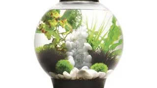 Acvariu Oase biOrb CLASSIC 30 LED negru