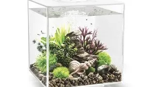 Acvariu Oase biOrb CUBE 30 LED transparent