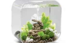 Acvariu Oase biOrb LIFE 30 MCR transparent