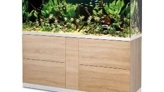 Acvariu cu stand Oase HighLine optiwhite 600 stejar