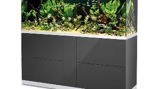 Acvariu cu stand Oase HighLine optiwhite 600 antracit