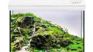 Acvariu complet EHEIM aquaclass 30 white  41 6x25 5x28 cm